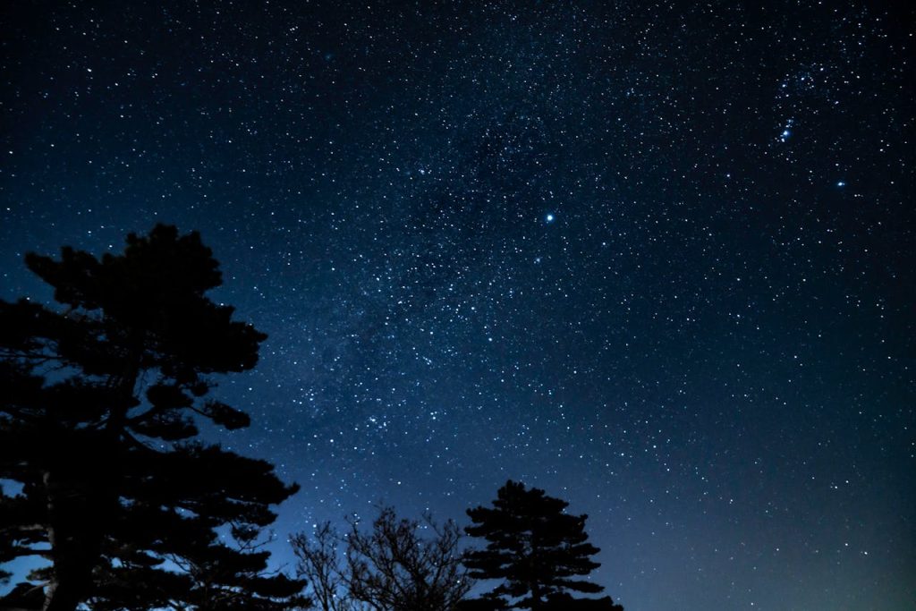A breathtaking view of the star-filled night sky above silhouetted trees in Huangshan, China.